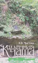 Каменная чаша - В. В. Чистова