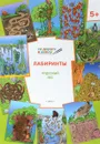 Лабиринты. Чудесный лес. Тетрадь для занятий с детьми 5-6 лет - В. М. Мёдов