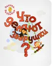 Что делают зверушки? Книжка-картинка для самых маленьких - В. М. Мёдов