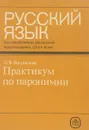 Русский язык. Практикум по паронимии - О.В. Вишнякова