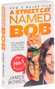 A Street Cat Named Bob - James Bowen