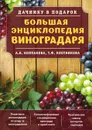 Большая энциклопедия виноградаря - А. В. Колпакова, Т. Ф. Плотникова