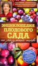 Энциклопедия плодового сада на разумной почве - Павел Траннуа