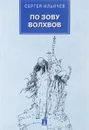 По зову волхвов. Современные сказки для взрослых детей - Сергей Ильичев