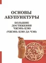 Большие достижения Чжэнь Цзю. Основы акупунктуры (Чжэнь Цзю Да Чэн) - Виногродский Б.Б.