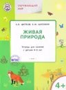 Живая природа. Тетрадь для занятий с детьми 4-5 лет - А. В. Цветков