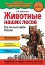 Животные наших лесов. Все лесные звери России - Юлия Школьник