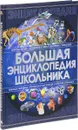 Большая энциклопедия школьника - А. А. Спектор