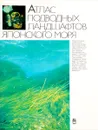 Атлас подводных ландшафтов Японского моря. - И.С. Арзамасцев, Б.В. Преображенский