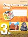 Окружающий мир. 3 класс. Проверочные работы - Е. В. Чудинова