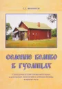 Селение Беливо в Гуслицах. Старообрядческие храмы-моленные и иноческие поселения в селении Беливо и вблизи него - С. С. Михайлов