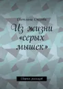 Из жизни «серых мышек». Сборник рассказов - Снегова Светлана