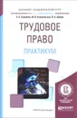 Трудовое право. Практикум. Учебное пособие - З. Н. Зарипова, М. В. Клепоносова, В. А. Шавин