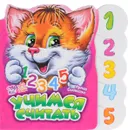 Учимся считать. Книжка-игрушка - Ирина Солнышко