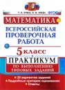 Математика. 5 класс. Всероссийская проверочная работа. Практикум по выполнению типовых заданий - Т. М. Ерина, М. Ю. Ерина
