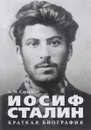 Иосиф Сталин. Краткая биография - А. М. Сарычева