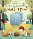 What is poo? (Very First Lift-the-Flap Questions and Answers) - Katie Daynes