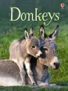 Donkeys - Maclaine, James