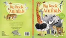 Big Book of Animals - Hazel Maskell