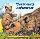 Приключения медвежонка - И. В. Гурина