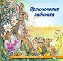 Приключения зайчонка - И. В. Гурина