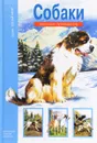 Собаки - Александрова Е.И.