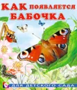 Как появляется бабочка - Фаттахова Н., Гурина Ирина Валерьевна