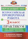 Окружающий мир. 3 класс. Всероссийская проверочная работа. Практикум по выполнению типовых заданий - Е. В. Волкова, Г. И. Цитович