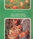 Из северных грибов и ягод - Логинов В.