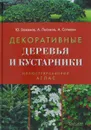 Атлас-определитель. Декоративные деревья и кустарники - Ю. Баженов, А. Лысиков, А. Сапелин