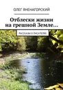 Отблески жизни на грешной Земле…. Рассказы о писателях - Яненагорский Олег Александрович