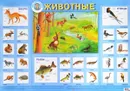 Животные. Плакат - Л. Данилова