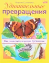 Удивительные превращения. Как появляются живые организмы - Марина Султанова