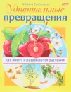 Удивительные превращения. Как живут и развиваются растения - Марина Султанова
