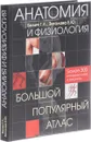 Анатомия и физиология. Большой популярный атлас - Г. Л. Билич, Е. Ю. Зигалова