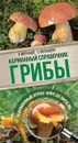 Грибы. Карманный справочник-определитель - А. Н. Матанцев, С. Г. Матанцева