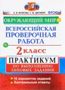 Всероссийская проверочная работа. Окружающий мир. 2 класс. Практикум по выполнению типовых заданий - Е. В. Волкова, Г. И. Цитович