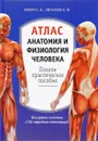 Анатомия и физиология человека. Атлас - Г. Л. Билич, Е. Ю. Зигалова