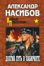 Долгий путь в лабиринте - Насибов Александр