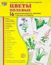 Полевые цветы (набор из 16 демонстрационных картинок) - Т. В. Цветкова