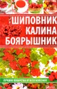 Шиповник, калина, боярышник. Лучшие лекарства от всех болезней - Раиса Сайдакова