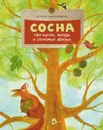 Сосна. Про мачты, янтарь и сосновые яблоки - Елена Максимова