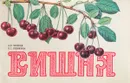 Вишня - Анатолий Михеев, Нина Ревякина
