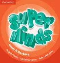 Super Minds Level 4 Posters (10) - Herbert Puchta, Gunter Gerngross