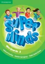 Super Minds Level 2 Wordcards (Pack of 81) - Herbert Puchta, Gunter Gerngross, Peter Lewis-Jones