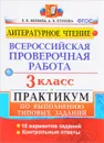 Литературное чтение. 3 класс. Всероссийская проверочная работа. Практикум по выполнению типовых заданий. ФГОС - Е. В. Волкова, А. В. Птухина