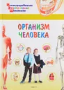 Организм человека - А. Орехов