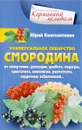 Уникальное лекарство. Смородина - Юрий Константинов