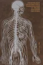Топическая диагностика заболеваний и травм нервной системы - Акимов Г.А.