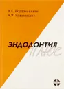 Эндодонтия плюс - А.К. Иорданишвили, А.М. Ковалевский